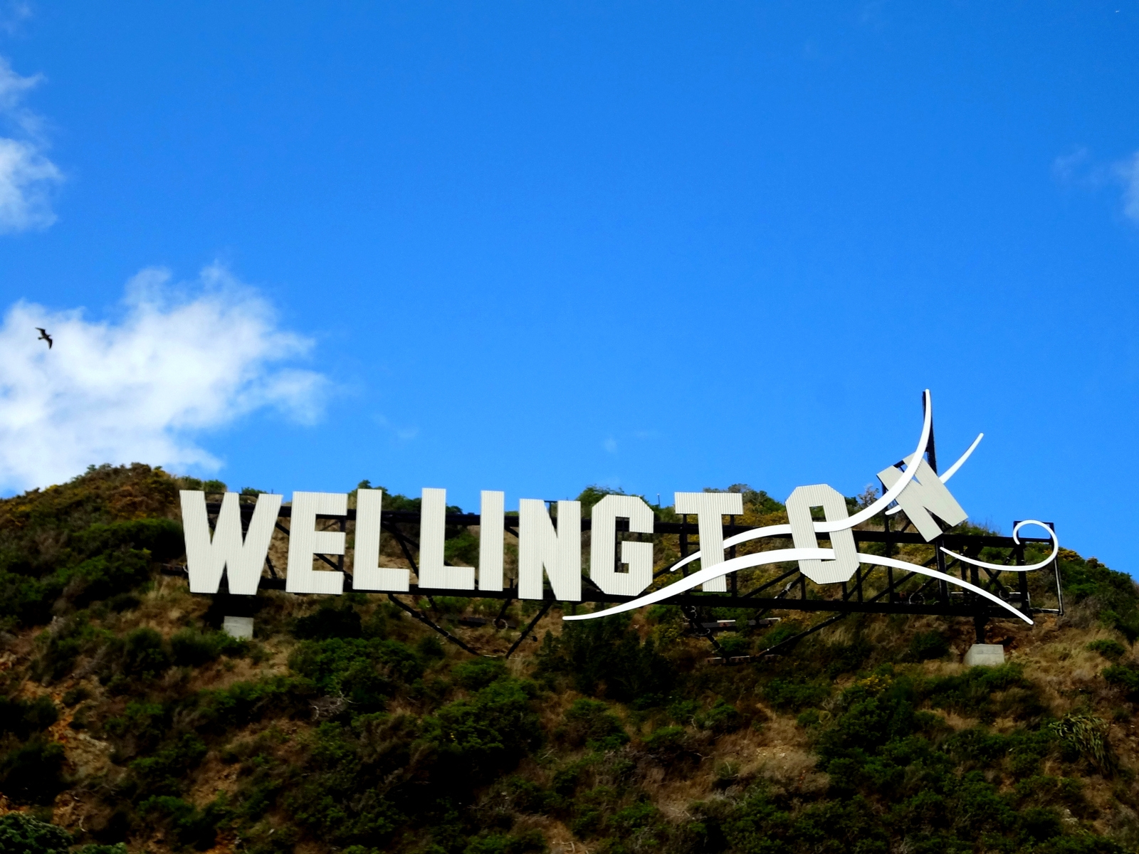 Wellington-479913768_1600x1200.png